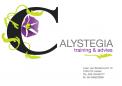 Logo & Huisstijl # 62804 voor Complete huisstijl voor trainings- en adviesbureau wedstrijd