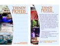 Flyer, (Toegangs)Kaart # 3296 voor Ontwerp een aantrekkelijke, stijlvolle en Trendy Flyer voor Trendy Hotels wedstrijd