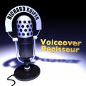 Logo & Huisstijl # 62266 voor Huisstijl + Logo ontwerp voor voiceover wedstrijd