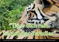 Print ad # 342085 for Greenpeace Poster contest 2014: Campaign for the protection of the Sumatra Tiger contest
