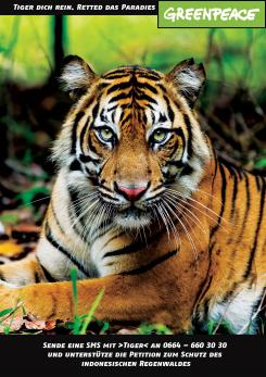 Print-Anzeige  # 343235 für Greenpeace Plakat-Wettbewerb 2014: Sujet für Plakat Kampagne zum Schutz des Sumatra Tigers Wettbewerb