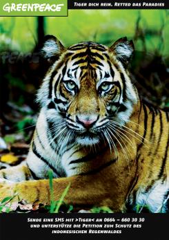 Print-Anzeige  # 341865 für Greenpeace Plakat-Wettbewerb 2014: Sujet für Plakat Kampagne zum Schutz des Sumatra Tigers Wettbewerb