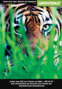 Print-Anzeige  # 341872 für Greenpeace Plakat-Wettbewerb 2014: Sujet für Plakat Kampagne zum Schutz des Sumatra Tigers Wettbewerb