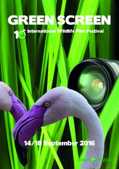 Print ad # 588563 for Poster contest: Wildlife Film Festival contest