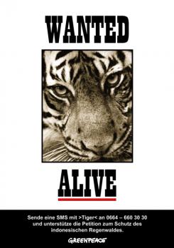 Print-Anzeige  # 347007 für Greenpeace Plakat-Wettbewerb 2014: Sujet für Plakat Kampagne zum Schutz des Sumatra Tigers Wettbewerb