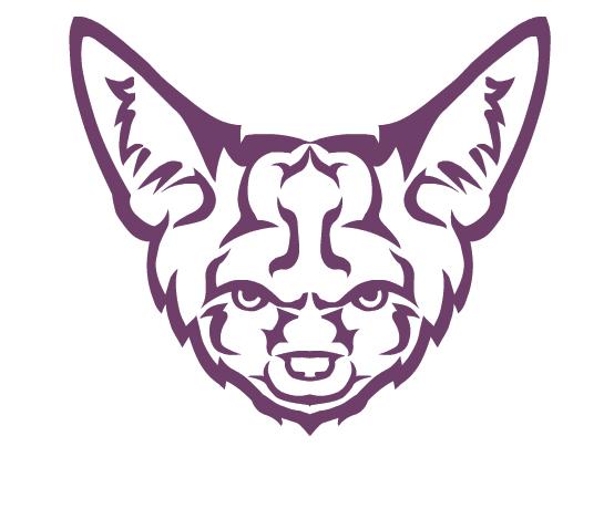 300x300