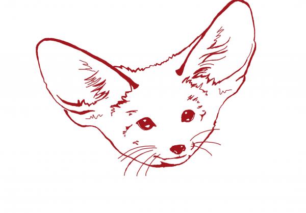 300x300