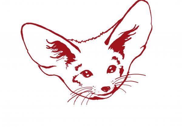 300x300
