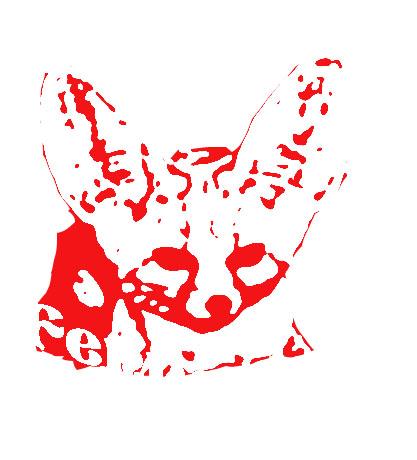 300x300