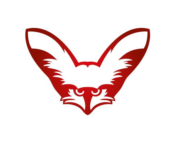 300x300
