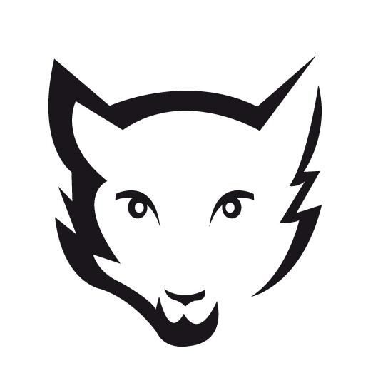 300x300