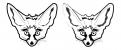 Other # 256515 for fennec contest