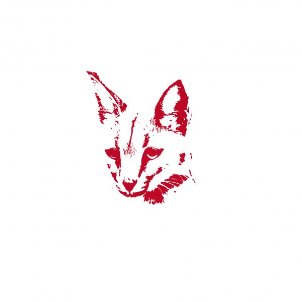 300x300