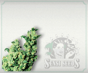 Banner # 111845 voor Medicinale cannabis  wedstrijd