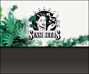 Banner # 115781 for Medicinal cannabis  contest