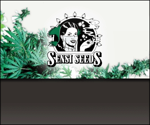 Banner # 115783 for Medicinal cannabis  contest