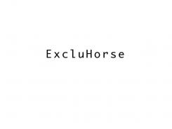 Company name # 119851 for Name for a webshop: exclusive equestrian - clothing & bridles contest