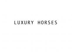 Company name # 119825 for Name for a webshop: exclusive equestrian - clothing & bridles contest