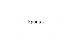 300x300