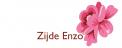 bedrijfsnaam & logo # 46723 voor Naam + Logo voor een winkel voor zijden bloemen en woondecoraties wedstrijd