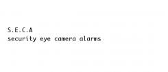 Bedrijfsnaam # 348921 voor Bedrijfsnaam gezocht voor firma gespecialiseerd in camerabewaking en inbraakbeveiliging wedstrijd