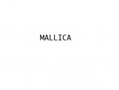 Company name # 1117988 for Real estate Mallorca contest