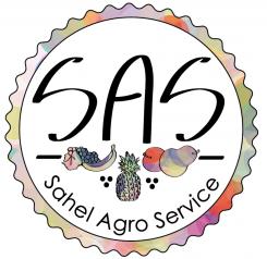 Flyer # 509913 voor Brochure + logo : producteurs de fruits bio au Sénégal wedstrijd