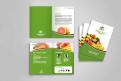 Flyer, tickets # 510505 for Brochure + logo : producteurs de fruits bio au Sénégal contest