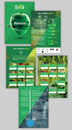 Flyer # 509106 voor Brochure + logo : producteurs de fruits bio au Sénégal wedstrijd