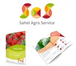 Flyer, tickets # 509476 for Brochure + logo : producteurs de fruits bio au Sénégal contest