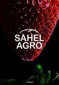 Flyer # 510586 voor Brochure + logo : producteurs de fruits bio au Sénégal wedstrijd