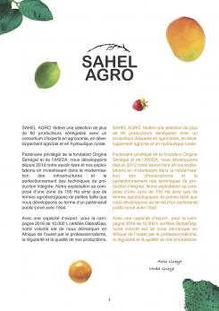 Flyer, tickets # 510587 for Brochure + logo : producteurs de fruits bio au Sénégal contest