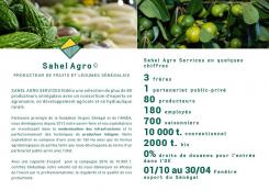 Flyer # 510664 voor Brochure + logo : producteurs de fruits bio au Sénégal wedstrijd