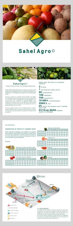 Flyer # 510676 voor Brochure + logo : producteurs de fruits bio au Sénégal wedstrijd