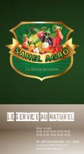 Flyer # 510062 voor Brochure + logo : producteurs de fruits bio au Sénégal wedstrijd