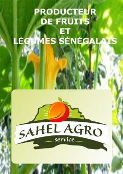 Flyer # 509343 voor Brochure + logo : producteurs de fruits bio au Sénégal wedstrijd