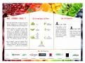 Flyer # 510174 voor Brochure + logo : producteurs de fruits bio au Sénégal wedstrijd