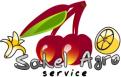 Flyer, tickets # 509969 for Brochure + logo : producteurs de fruits bio au Sénégal contest