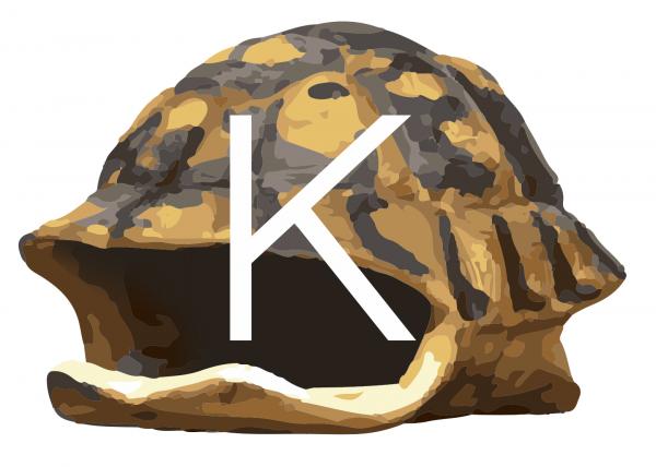 300x300