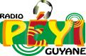 Logo # 401132 voor Radio Péyi Logotype wedstrijd