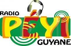 Logo design # 401132 for Radio Péyi Logotype contest
