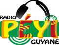 Logo # 401133 voor Radio Péyi Logotype wedstrijd