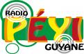 Logo # 401135 voor Radio Péyi Logotype wedstrijd