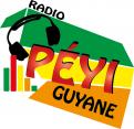 Logo design # 399256 for Radio Péyi Logotype contest