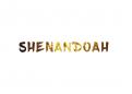 Logo design # 997687 for Evolution and maturity of a logo   Shenandoah contest