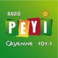 Logo # 397477 voor Radio Péyi Logotype wedstrijd