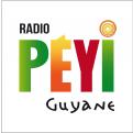 Logo # 397478 voor Radio Péyi Logotype wedstrijd
