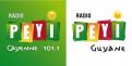 Logo design # 397491 for Radio Péyi Logotype contest