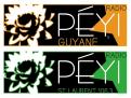 Logo design # 396907 for Radio Péyi Logotype contest