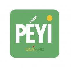 Logo # 400387 voor Radio Péyi Logotype wedstrijd